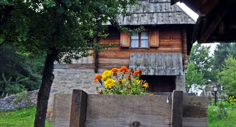 Staro selo Sirogojno, Zlatibor