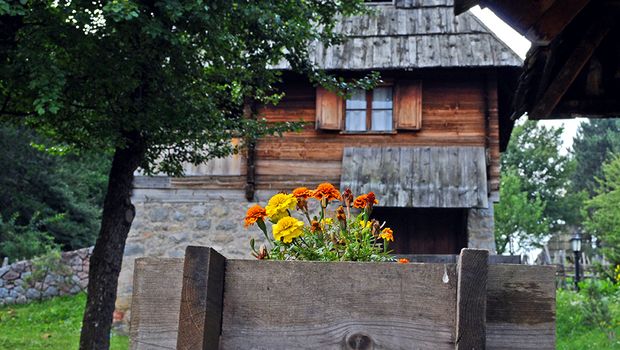 Staro selo Sirogojno, Zlatibor