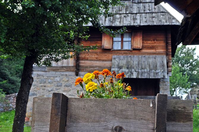 Staro selo Sirogojno, Zlatibor Staro selo Sirogojno, Zlatibor