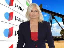 Zorana Mihajlović, Janaf, nafta