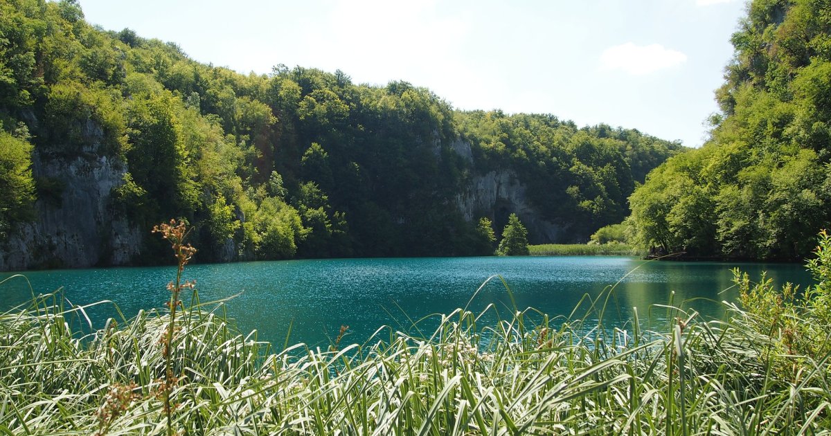 Who is sneaking through the forests near Plitvice Lakes? Camera captures a fearless creature, the footage goes viral
