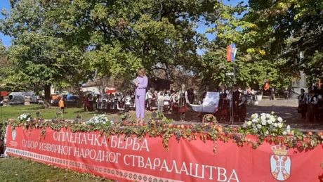 Oplenac, Topola, berba grožđa