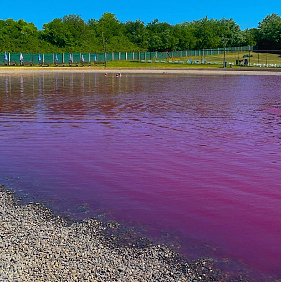 Roze jezero usred Vojvodine: Ovo mesto kriju lokalci, a voda je među najlekovitijima u Evropi