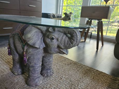 sunčana soba, čikago, uređenje doma, aleks petrović sunčana soba, čikago, uređenje doma, aleks petrović