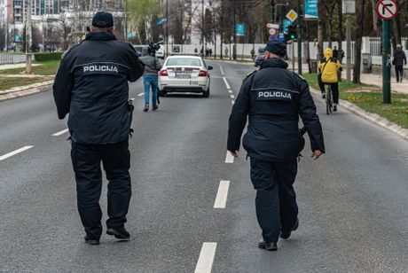 Bosna policija