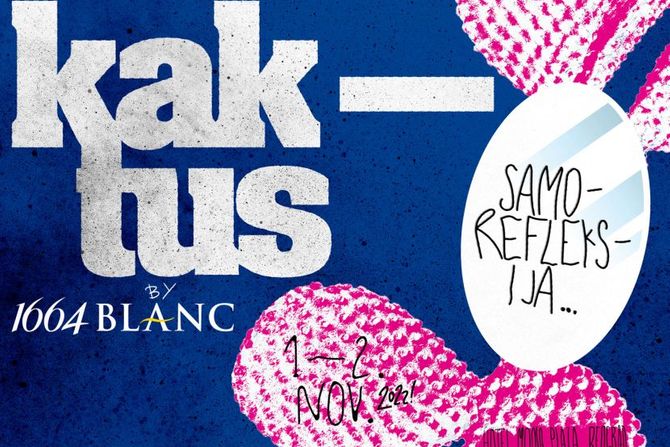 Kaktus 2022 Kaktus 2022