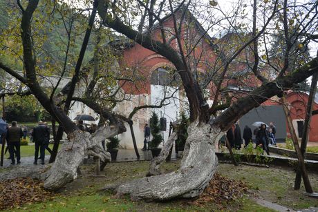 PECKA PATRIJARSIJA USTOLICENJE