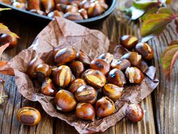 Pečeno kestenje, kesten