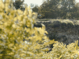 tvrđava u Kupinovom