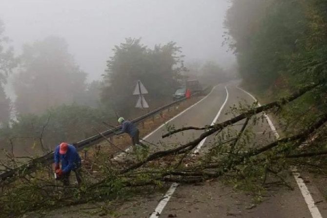 se3ča drva, vrhopolje, ljudi, saobraćaj, put,