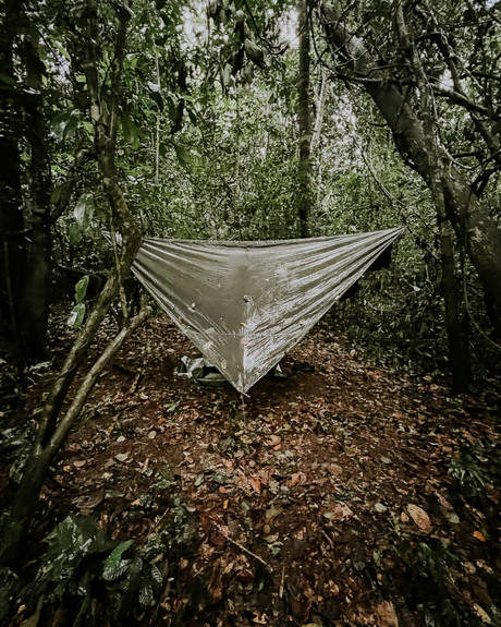 amazonija