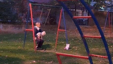 Deka, pas, Bišon ljuljanje park Beograd