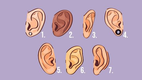 Tipovi ušiju