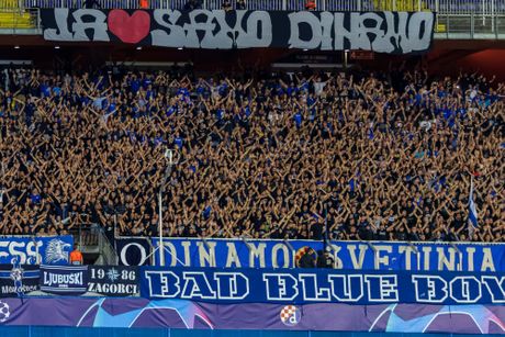 Dinamo Zagreb navijači