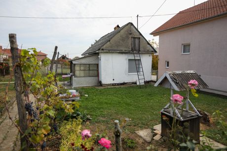 Dejan Tomašević Selters Mladenovac Dejan Tomašević Selters Mladenovac