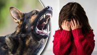 Poznato stanje devojčice (6) koju je pas ujeo za glavu na Čukarici: Majku i dete policija prevezla do Tiršove