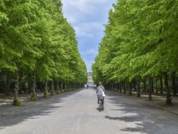 biciklizam, biciklisti, bicikl