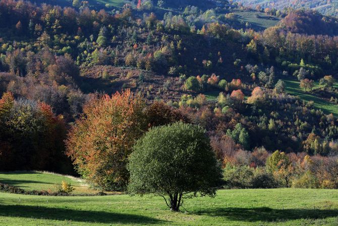 Selo Osonica u Ivanjici