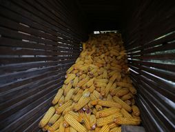 Selo Osonica u Ivanjici