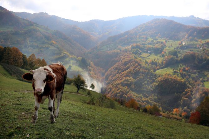 Selo Osonica u Ivanjici