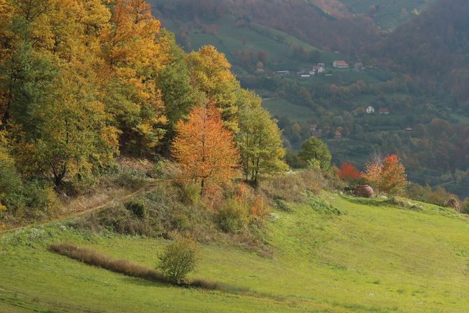 Selo Osonica u Ivanjici