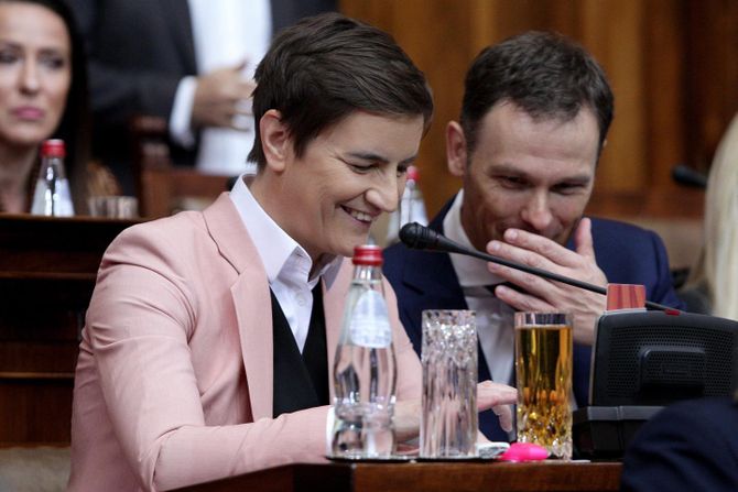 Siniša Mali, Ana Brnabić