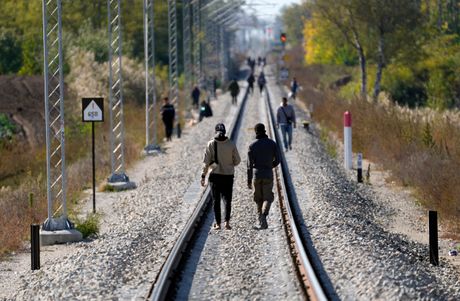 Migranti Srbija Mađarska granica