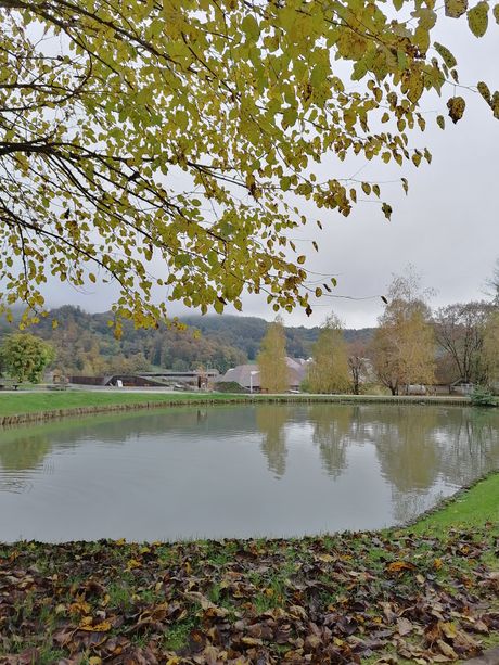 Terme Olimia kolaž Terme Olimia kolaž
