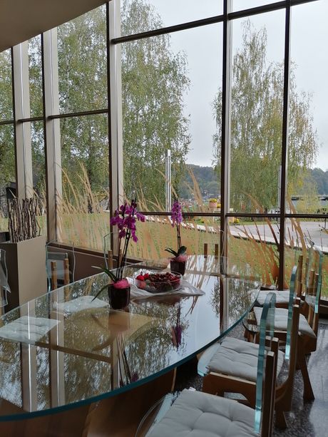 Terme Olimia kolaž Terme Olimia kolaž