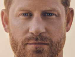 Memoari princa Harija, Spare