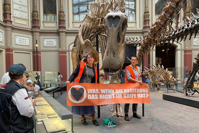 Demonstracije, Protest, Berlin, klimatske promene