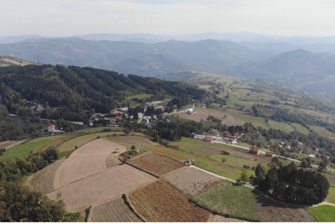 Ivanjica ivanjički krompir