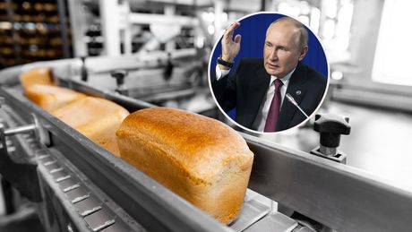 Pekara hleb i Vladimir Putin