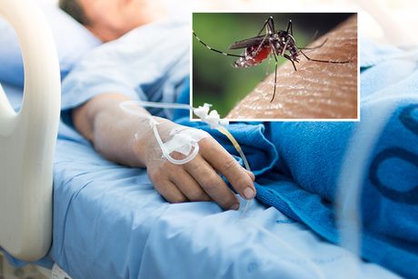 Pacijent komarac, bolnica, bolnička soba postelja