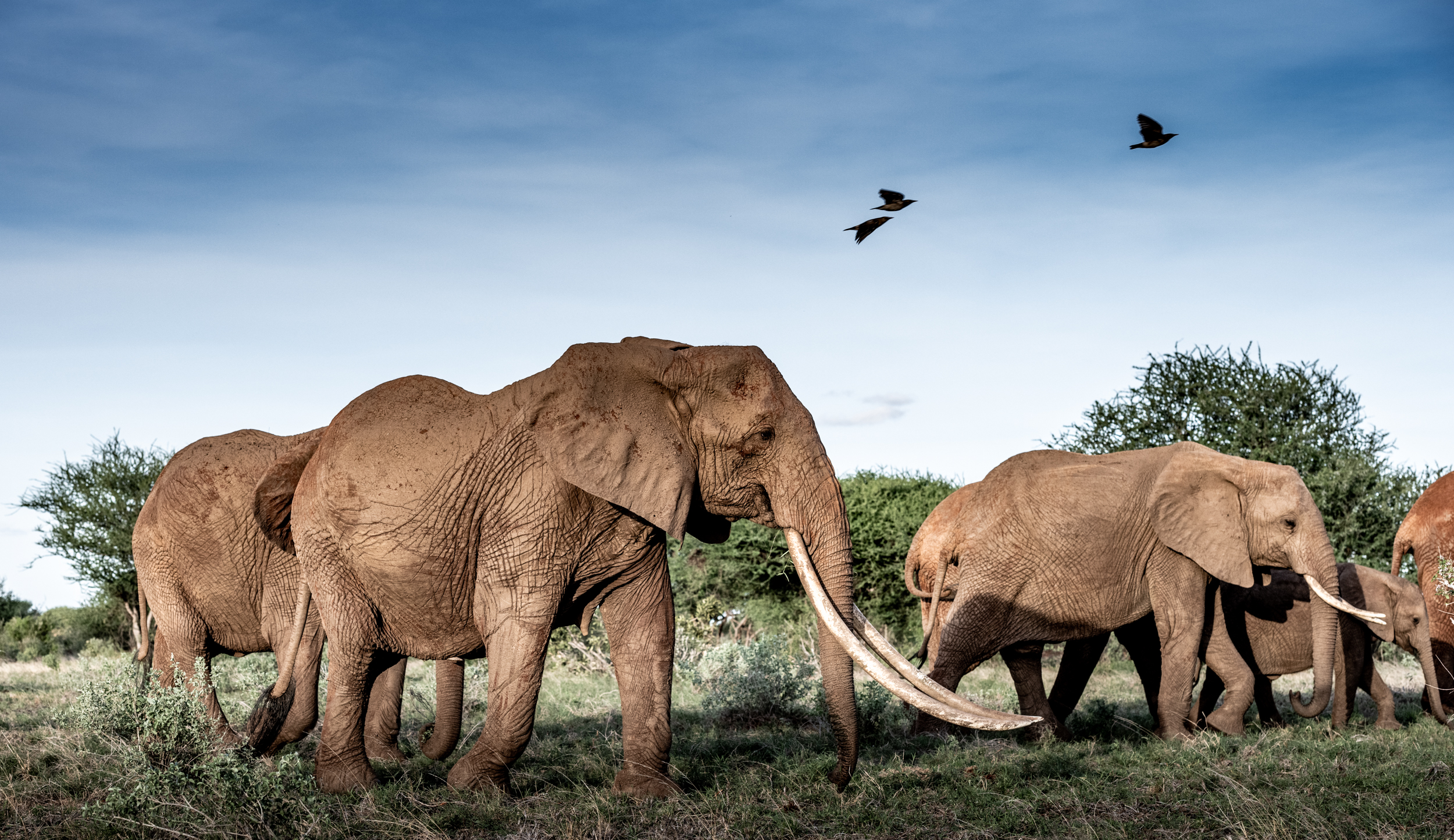 Jovana je dva meseca provela u srcu Afrike: Ove stvari su je potpuno šokirale!