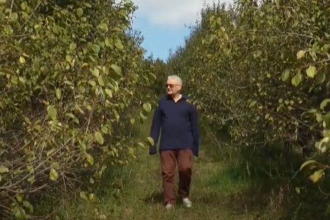 Mladen Jovašević šljiva šljive ranka ranke šljivovica