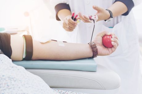 Krv, davanje krvi, tranfuzija krvi