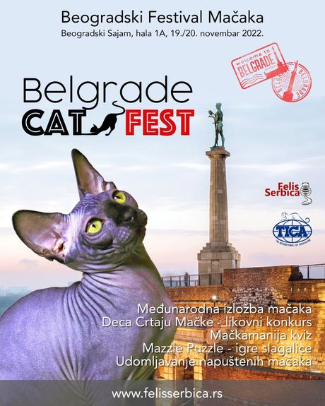 Prvi Belgrade Cat Fest Felis Serbica