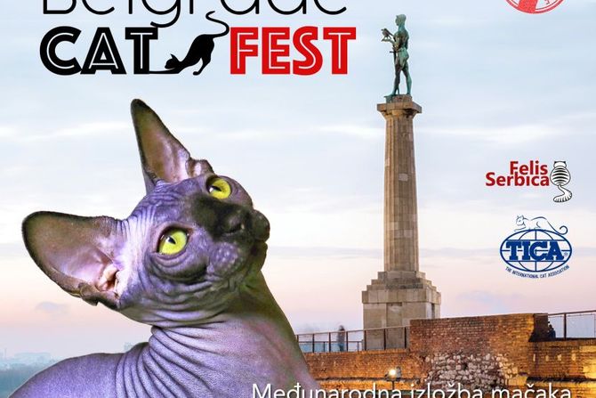 Prvi Belgrade Cat Fest Felis Serbica