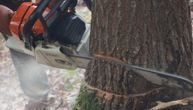 Radnik iz BiH nastradao u Austriji: Na strmom terenu sekao drvo, stablo palo na njega