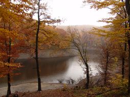 Bukulja, Bukuljsko jezero