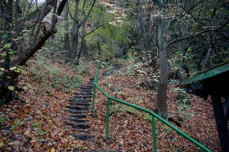 Petnička pećina, Zapadna Srbija Petnička pećina, Zapadna Srbija