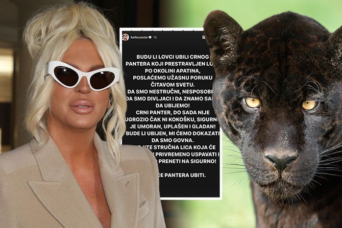 Jelena Karleuša crni panter