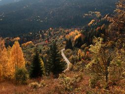 Milošev Do, Jadovnik, Prijepolje