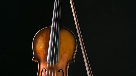 Violina instrument