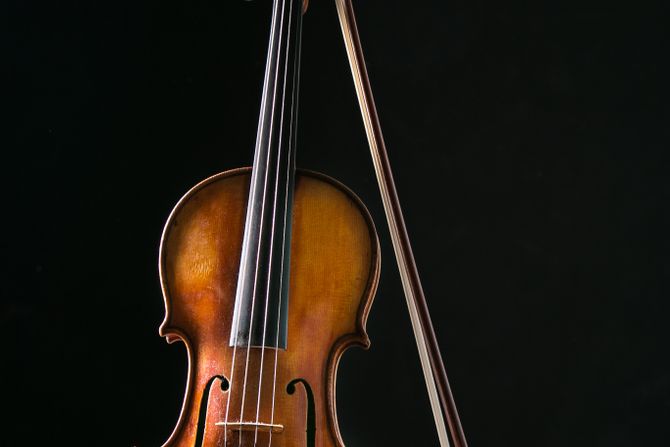 Violina instrument