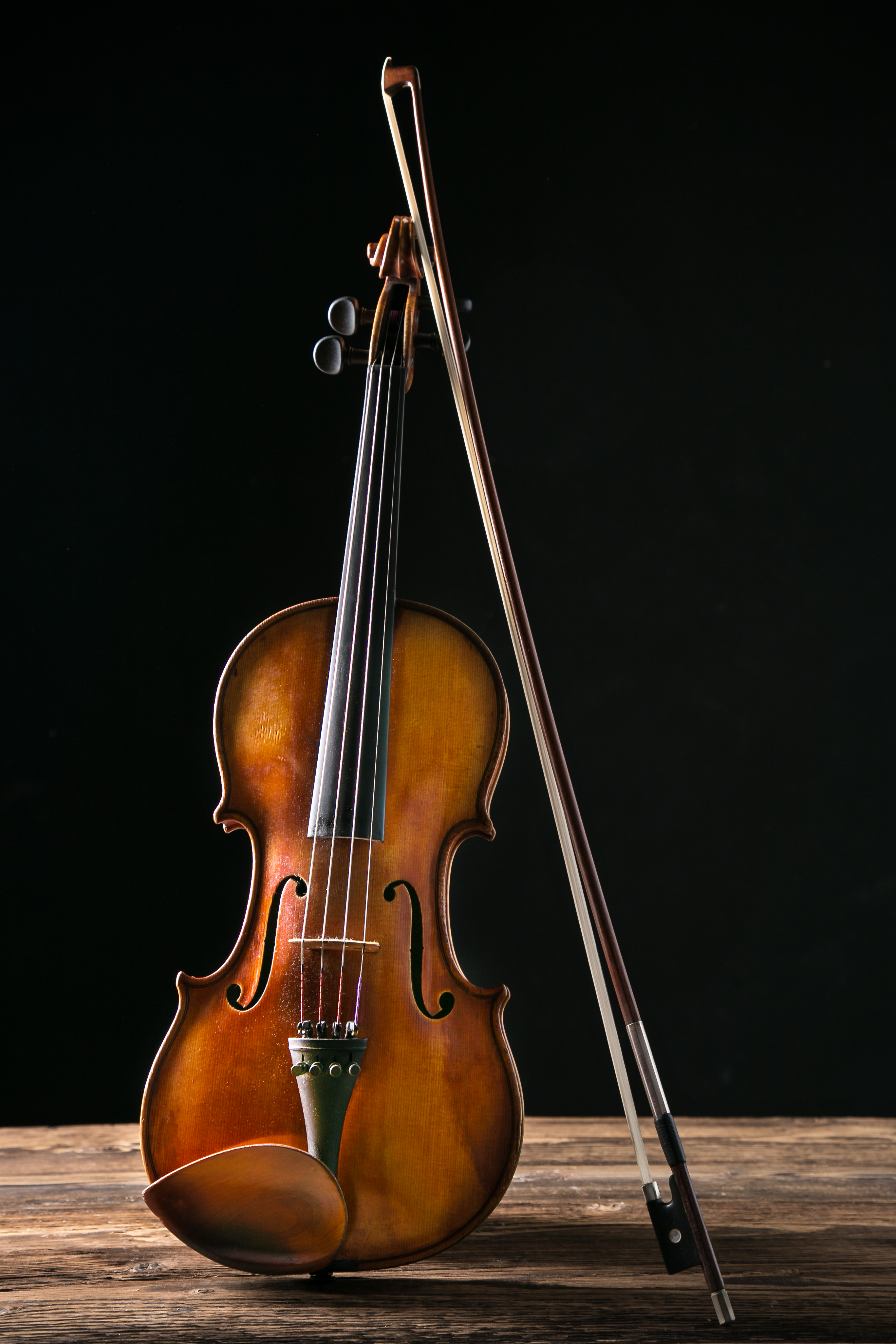 Violinistkinji Nini Rakočević dodeljena nagrada “Stanojlo Rajičić” u Galeriji SANU