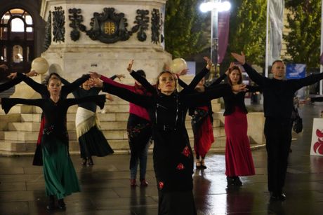 Svetski dan flamenka, flamenko