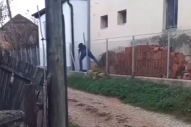 Paraćin, nisilje nad životinjama Paraćin, nisilje nad životinjama