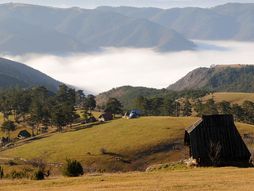 Stublo, Zlatibor